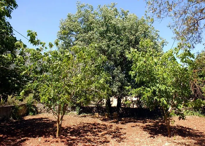 Guelsen -doga Manzarali Bahce Kati